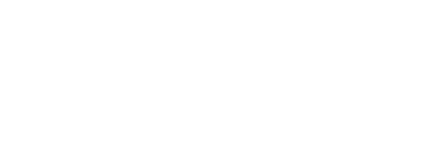 SSENI